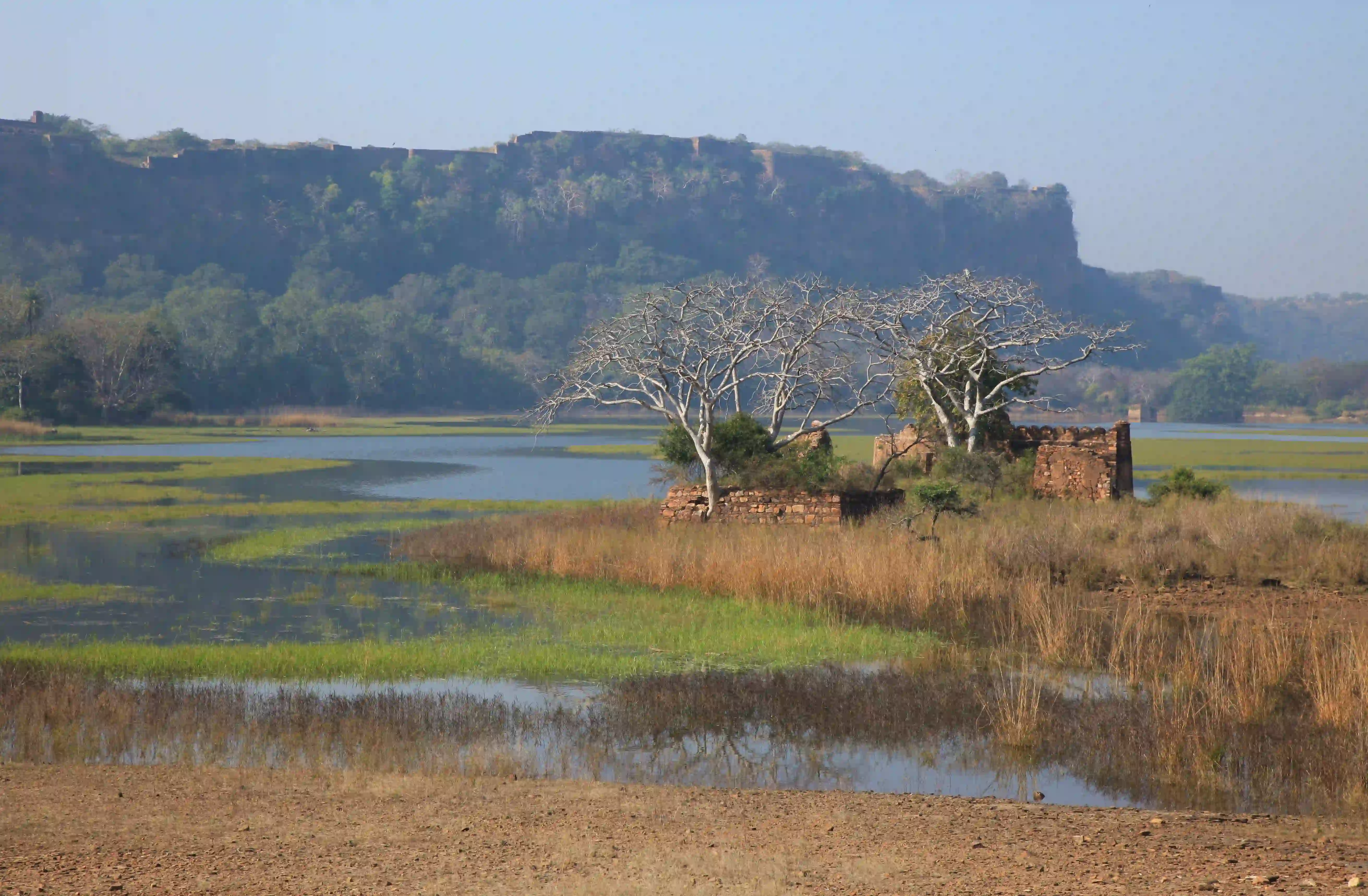 Golden Triangle Tour with Ranthambore