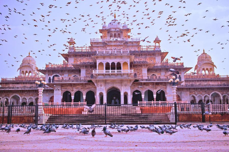 Jaipur City Private Day Tour 8 Hours